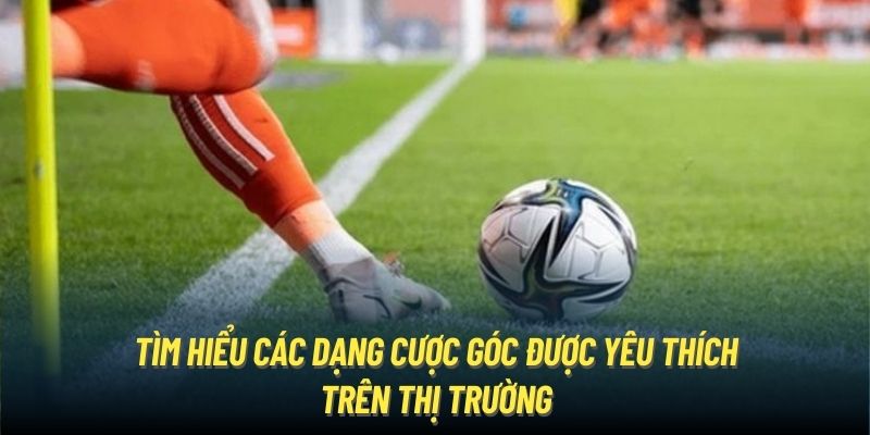 Tìm hiểu các dạng cược góc được yêu thích trên thị trường