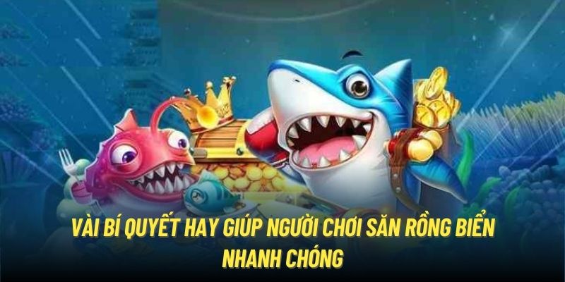 Vài bí quyết hay giúp người chơi săn rồng biển nhanh chóng